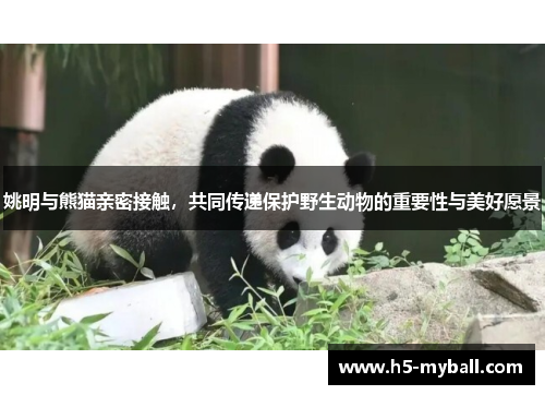 姚明与熊猫亲密接触，共同传递保护野生动物的重要性与美好愿景